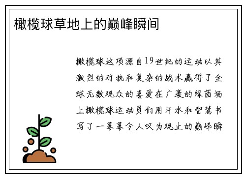 橄榄球草地上的巅峰瞬间